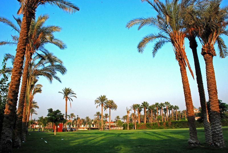 Sakkara Country Club Hotel El Hawamdeya Exteriér fotografie