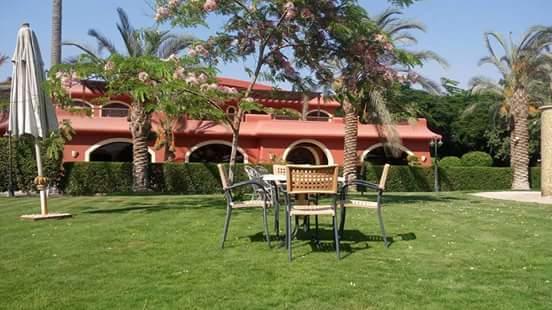 Sakkara Country Club Hotel El Hawamdeya Exteriér fotografie